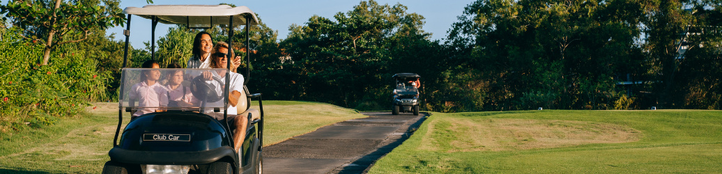 TR CONSEIL : Voiturettes et golfettes électriques 