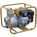 groupe_motopompe_worms_tp_65_ex_eaux_chargees_530039386