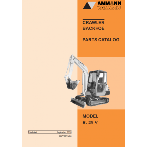 manuel_pieces_yanmar_b25v