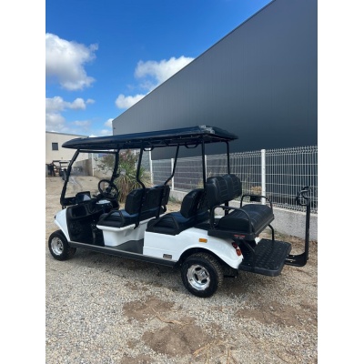 golfette_electrique_hdk_occasion_33