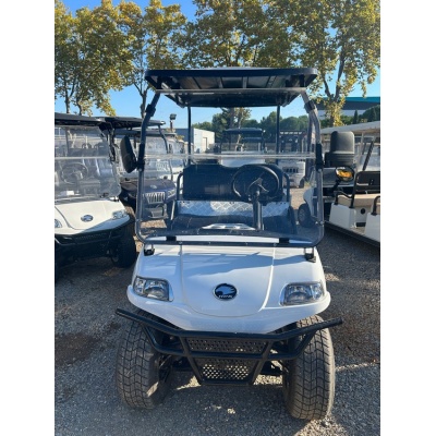 golfette_electrique_lithium_hdk_turfman_1000_16