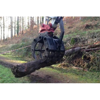 grapple6_847234495