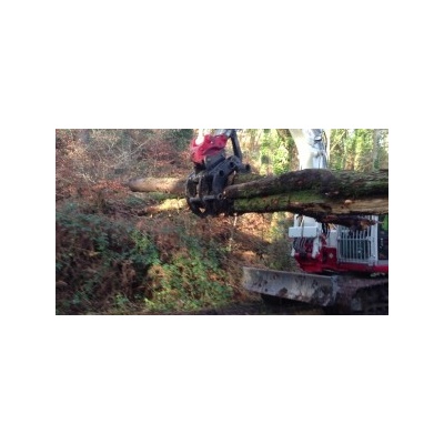 grapple7-300x168_408293333