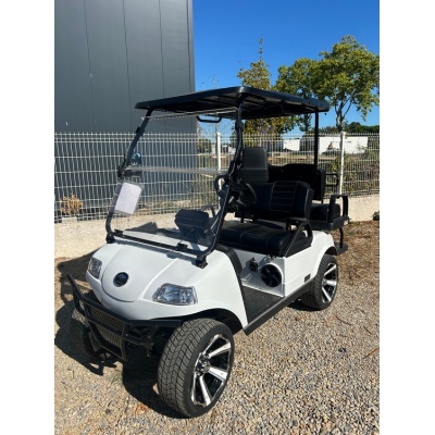 voiturette_de_golf_electrique_hdk_21