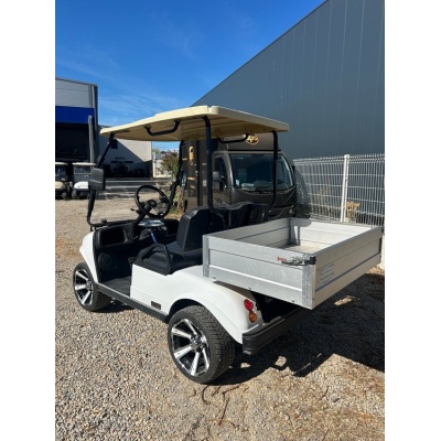voiturette_de_golf_electrique_hdk_46
