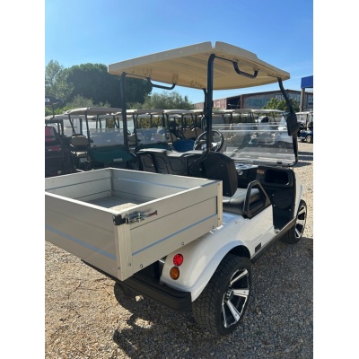 voiturette_de_golf_electrique_hdk_49